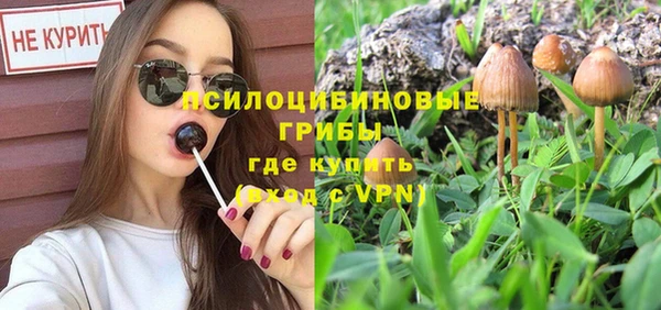 эйфоретик Белоозёрский