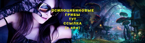 эйфоретик Белоозёрский
